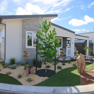 Moon Shadow Deluxe Photo